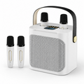 The Acoustic Sphere Portable Soundstage