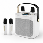 The Acoustic Sphere Portable Soundstage