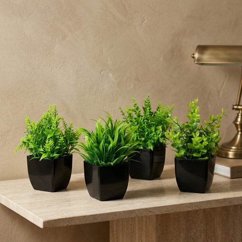 The Kanso Miniature Architectural Botanical Ensemble - Atelier Console Edition