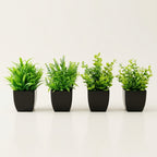 The Kanso Miniature Architectural Botanical Quartet - Studio Lineup