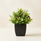 The Kanso Miniature Botanical - 1pc-Ardisia grosvenorii
