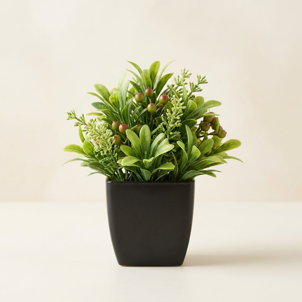 The Kanso Miniature Botanical - 1pc-Ardisia grosvenorii