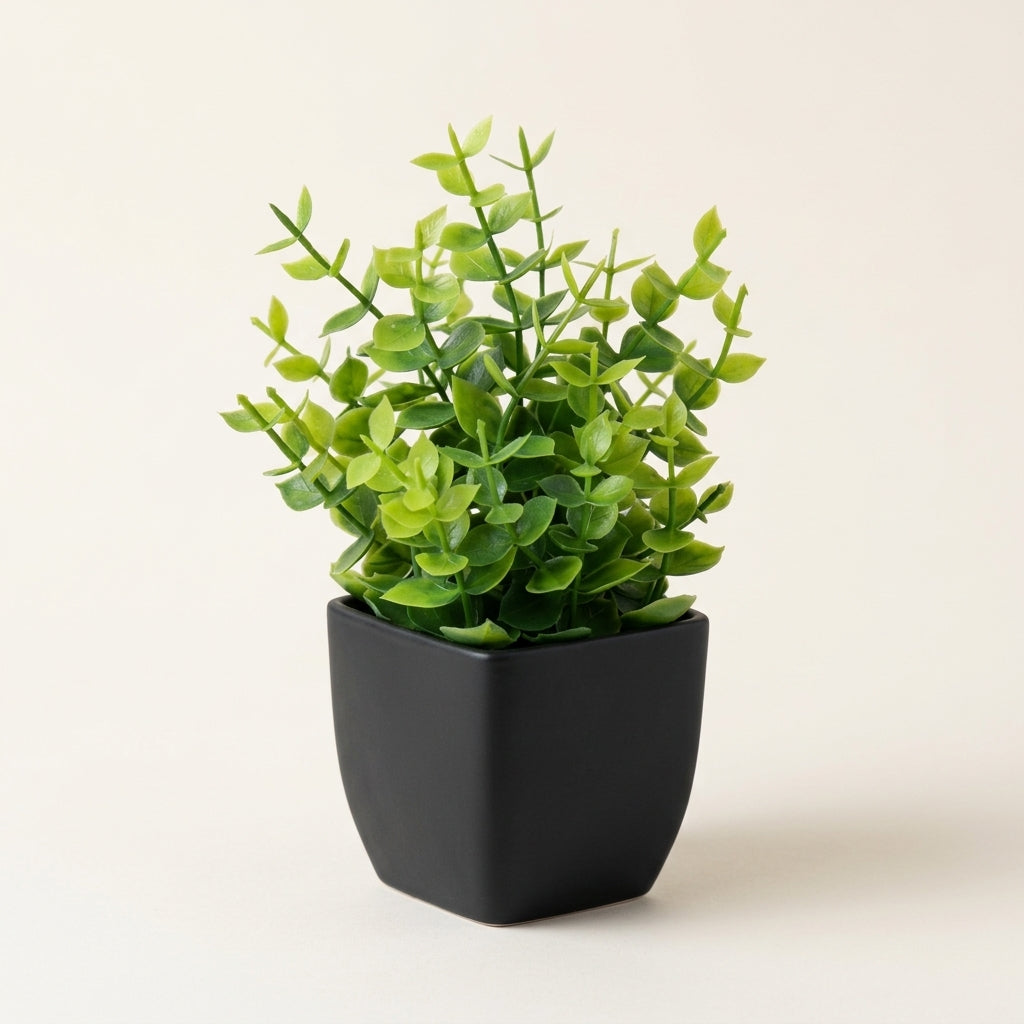 The Kanso Miniature Botanical - 1pc-EUCALYPTUS