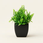 The Kanso Miniature Botanical - 1pc-lavender