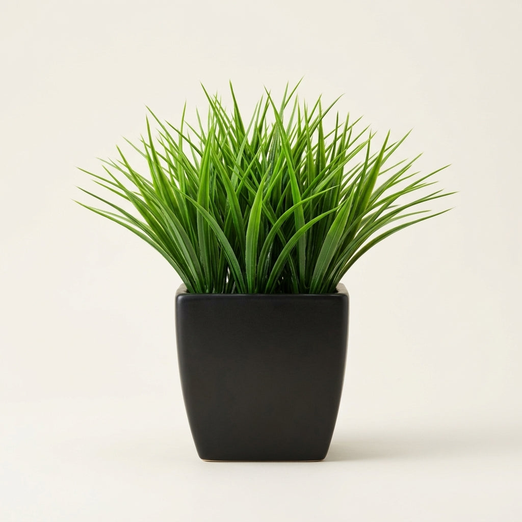 The Kanso Miniature Botanical - 1pc-Spring Grass