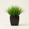 The Kanso Miniature Botanical - 1pc-Spring Grass
